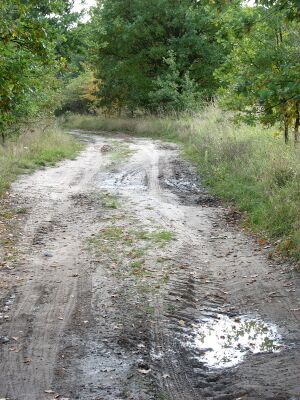 Deetzer Weg-2008 4493.jpg