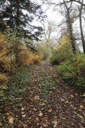 Gutspark IMG 4925 09 11 2018.JPG