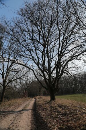 Deetzer Weg 8305 bildgröße ändern.JPG