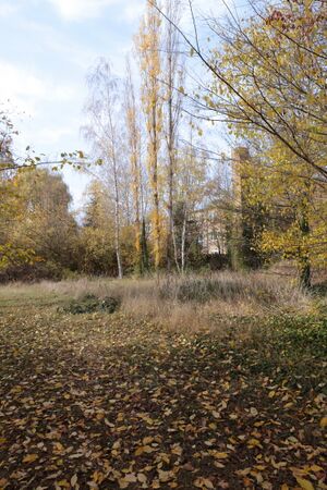 Gutspark IMG 4929 09 11 2018.JPG