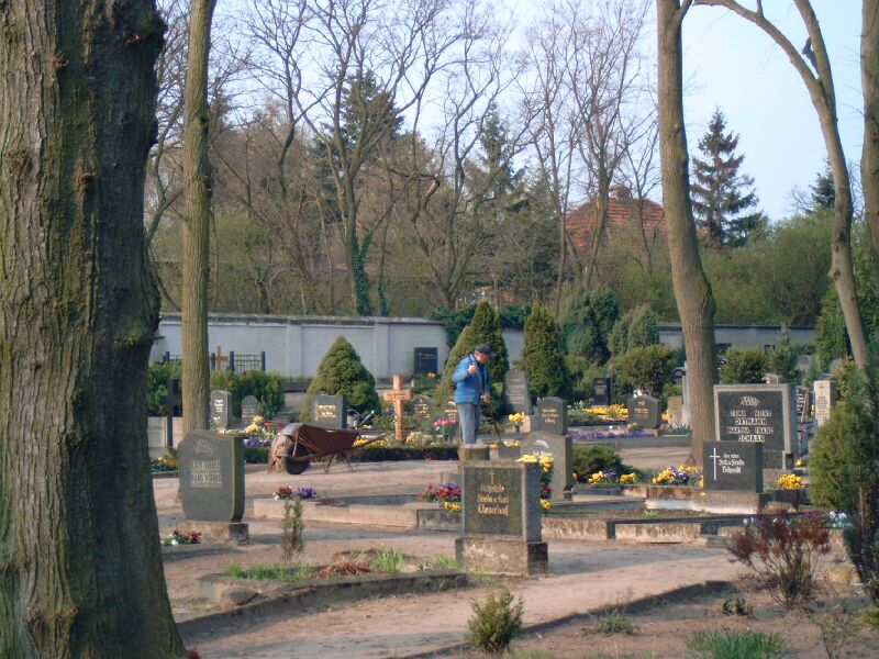 Datei:4-kommun-Friedhof Friedhofsbäume 03-2004 004.jpg