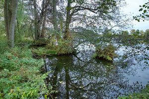 Havelufer P92A7469.jpg