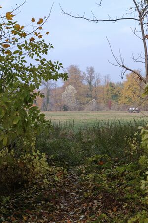 Gutspark 4914 09-11-2018.JPG