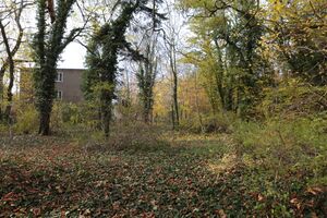 Gutspark IMG 4926 09 11 2018.JPG