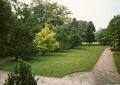 Blick von der Freitreppe in den Garten des Parks, Aufn. W. Hübner j. 1993