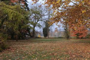 Gutspark 4899 09-11-2018.JPG