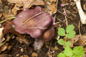 P92A7582 bildgröße ändern.jpg