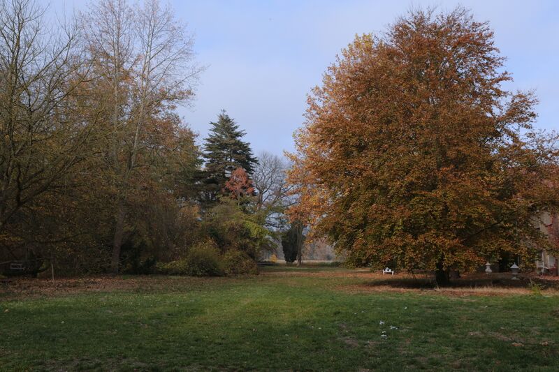 Datei:Gutspark IMG 4890 09 11 2018.JPG