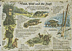 Wald-Wild-Jagd 9345 bildgröße ändern.jpg