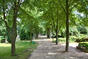 3-kommun-Friedhof 9810 bildgröße ändern.jpg