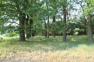 Am Fuchsberg 7450 bildgröße ändern.JPG