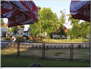 2008 010.jpg