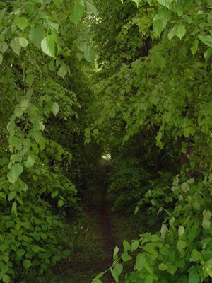 Kuckucksallee 2004 019.jpg