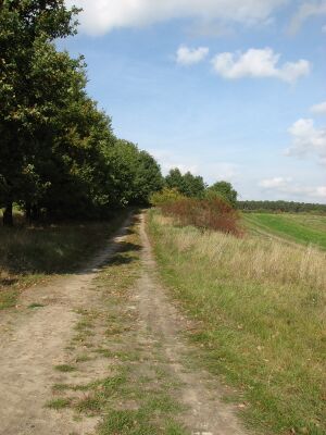 Deetzer Weg-2008 4482.jpg