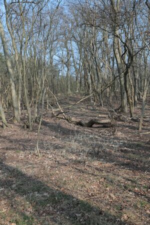 Fuchsberg 8413 bildgröße ändern.JPG