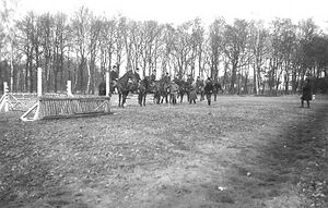 Reiter auf dem Parcours.jpg