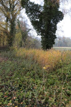 Gutspark IMG 4920 09 11 2018.JPG