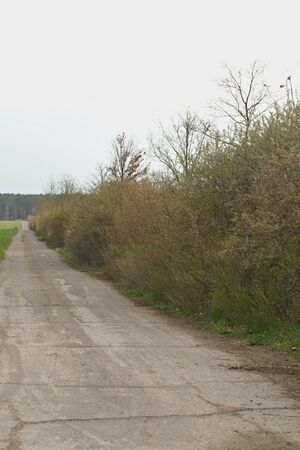 Wildschutzstreifen P92A3134 bildgröße ändern.jpg