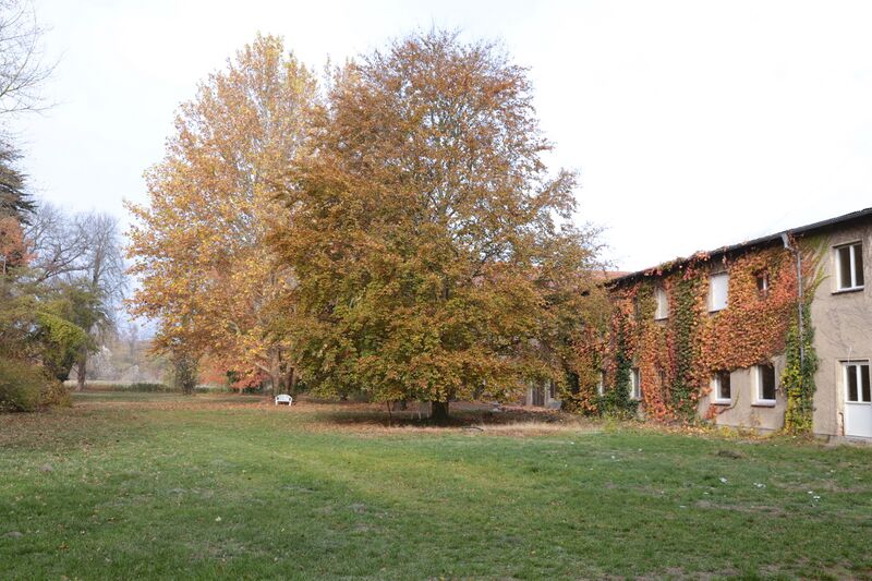 Datei:Gutspark IMG 4891 09 11 2018.JPG
