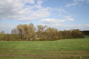 Deetzer Puhl 2011 0003.JPG