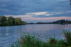 Havelufer P92A7483.jpg