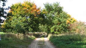 Deetzer Weg 2008 4450.JPG