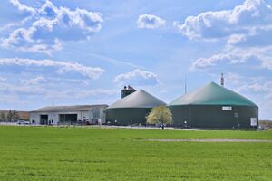 TW-Biogas,Götz IMG 8567.JPG