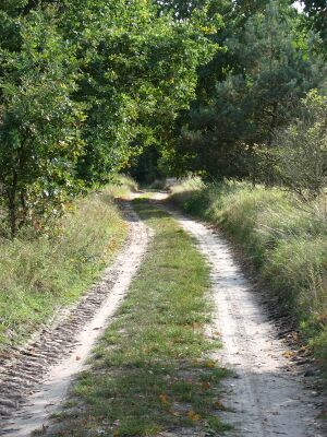 Deetzer Weg 2008 4496.jpg