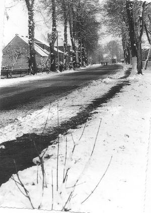 BRANDENBURGER STR 1962.jpg